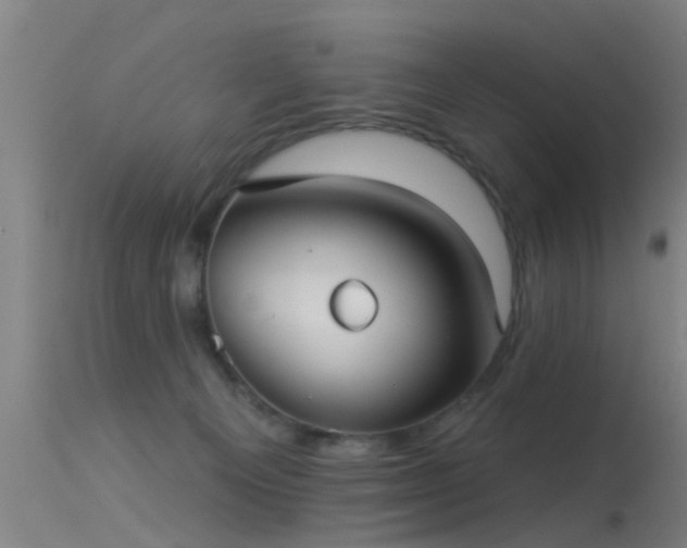 X0000114180129200910151710