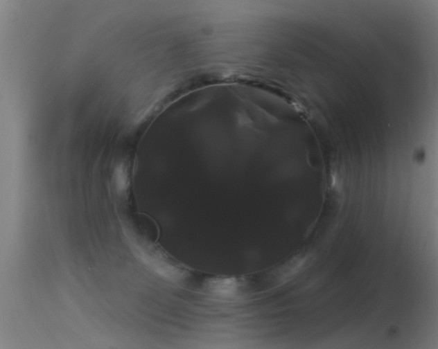 X0000114180131200910151710