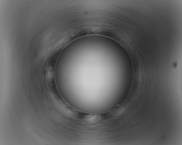 X0000114180135200910151710