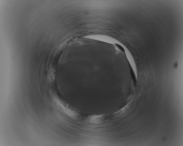 X0000114180136200910151710