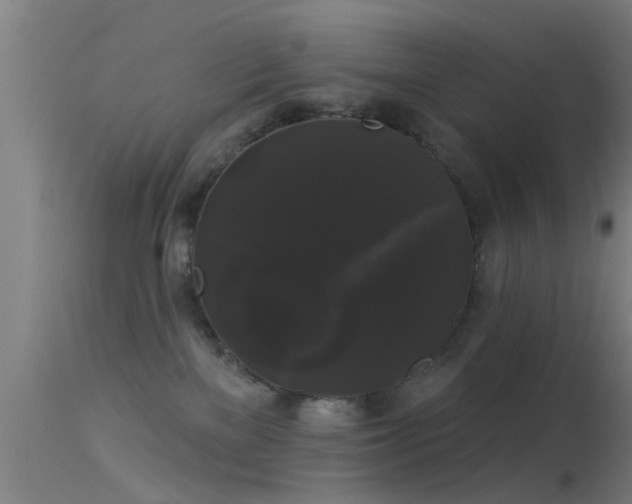 X0000114180137200910151710