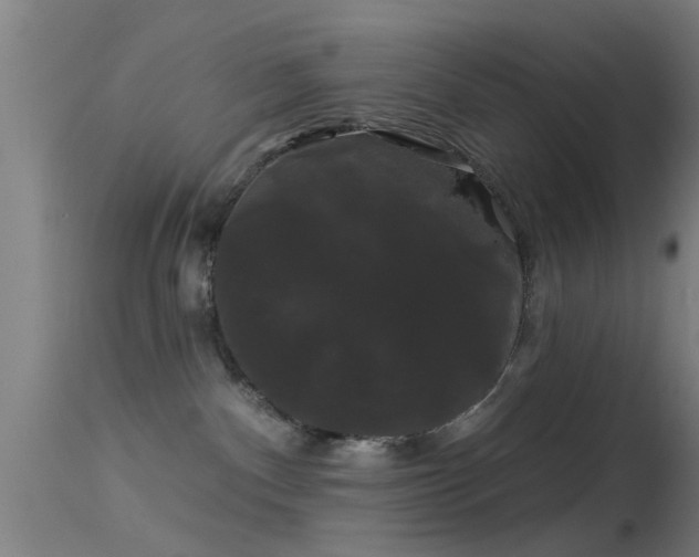 X0000114180140200910151710