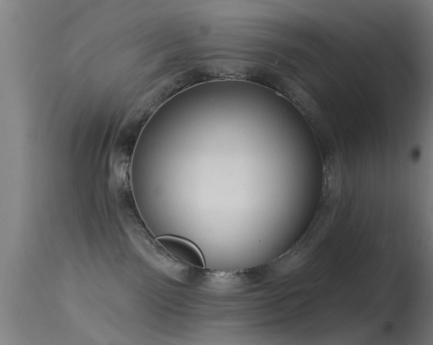 X0000114180141200910151710