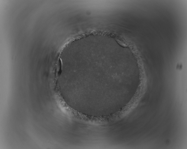 X0000114180144200910151710