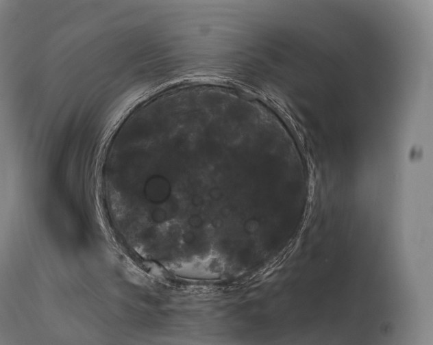 X0000114180145200910151709