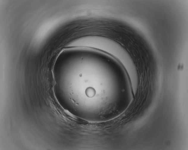 X0000114180146200910151709