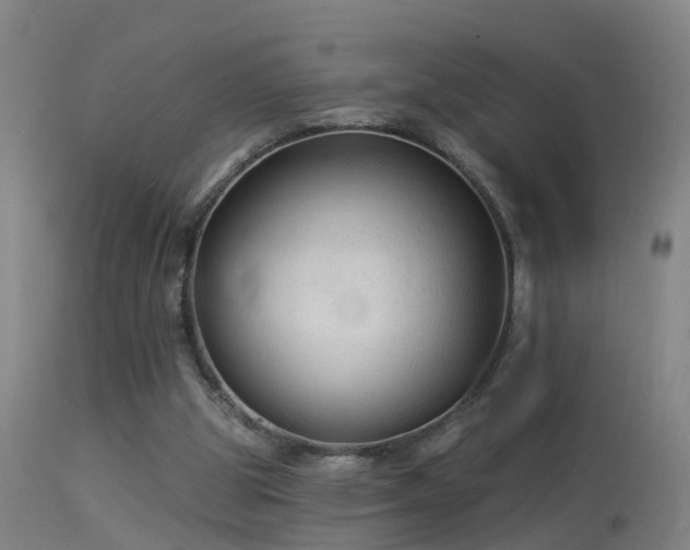 X0000114180153200910151709