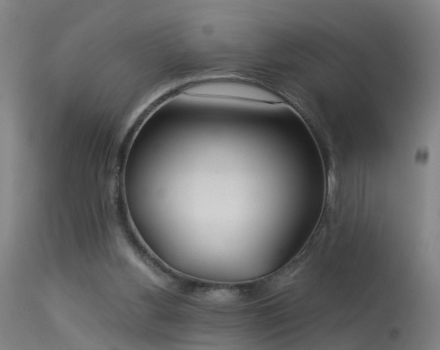 X0000114180156200910151709