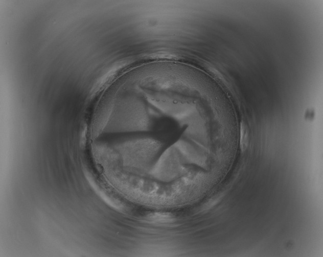 X0000114180157200910151709