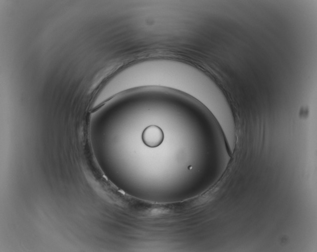 X0000114180158200910151709