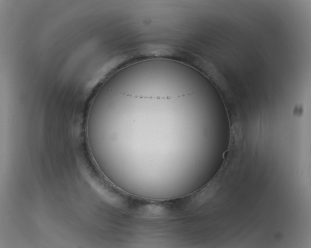 X0000114180159200910151709