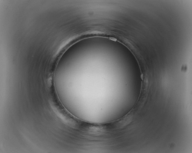 X0000114180160200910151709