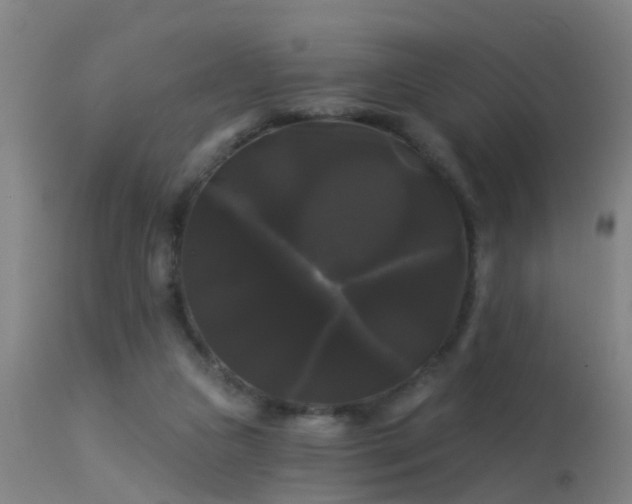 X0000114180161200910151709