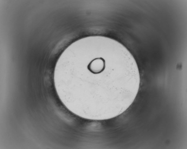 X0000114180162200910151709