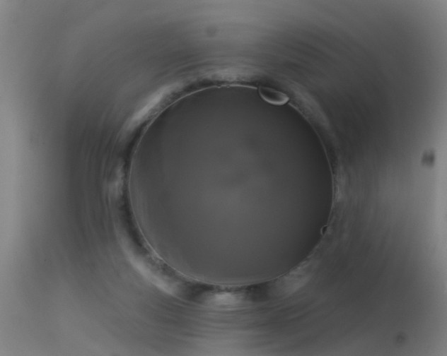 X0000114180163200910151709