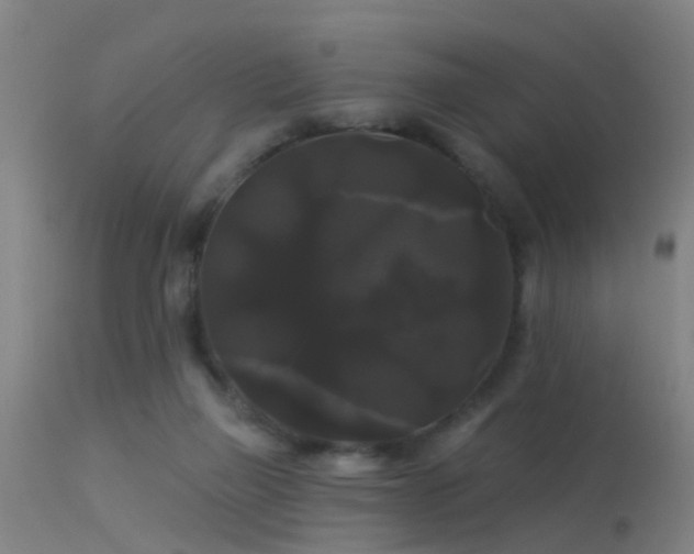 X0000114180165200910151709