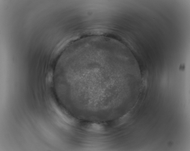 X0000114180166200910151709