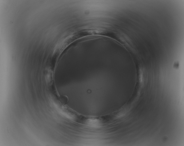 X0000114180169200910151709