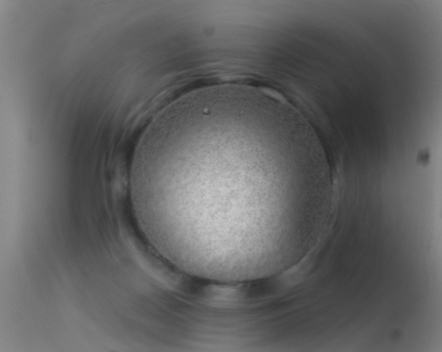 X0000114180170200910151709