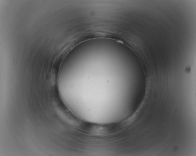 X0000114180174200910151709