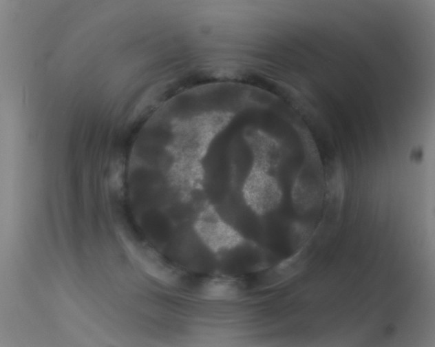 X0000114180175200910151709