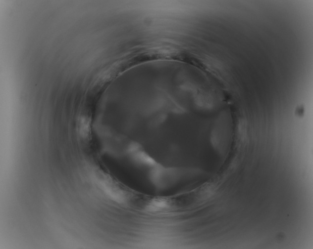 X0000114180177200910151709