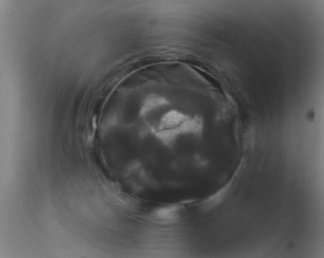 X0000114180178200910151709