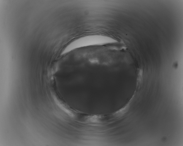 X0000114180182200910151709