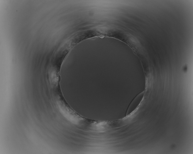 X0000114180186200910151710