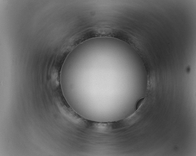 X0000114180187200910151710