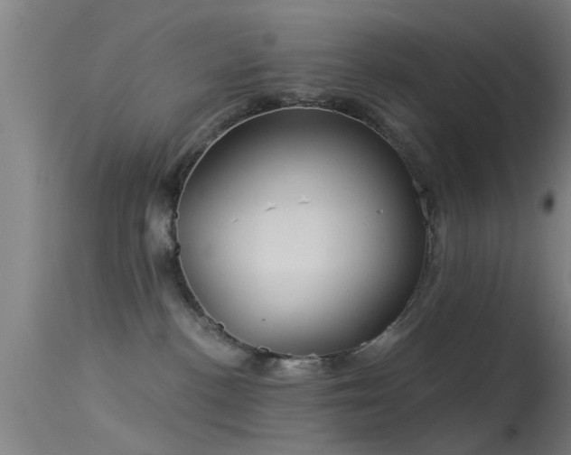 X0000114180188200910151710