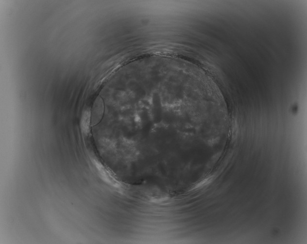 X0000114180189200910151710