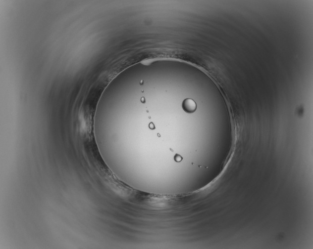 X0000114180190200910151710