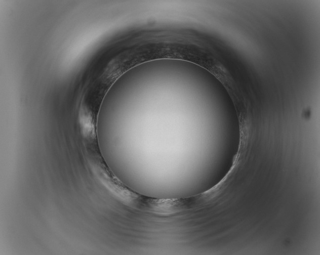 X0000114180191200910151710