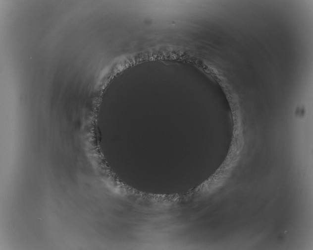 X0000114180192200910151710