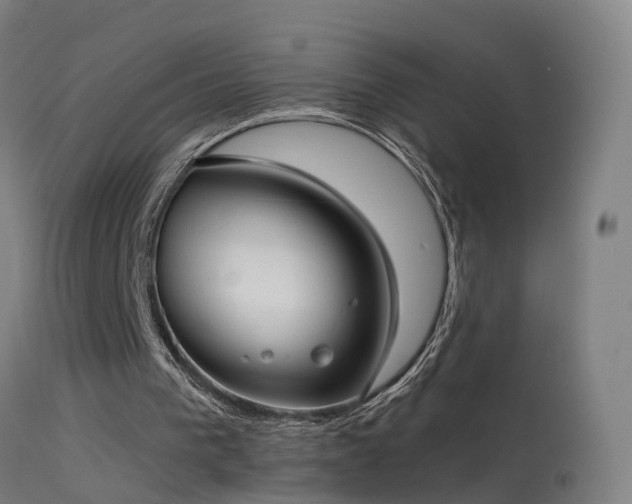 X0000114180193200910151709