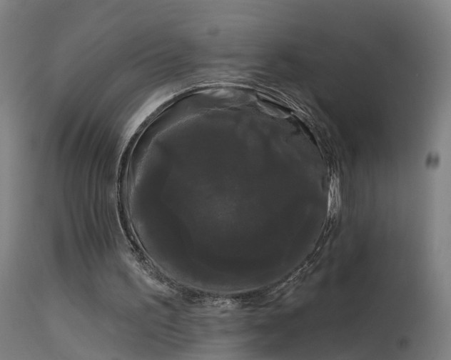 X0000114180195200910151709