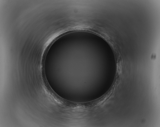 X0000114180196200910151709