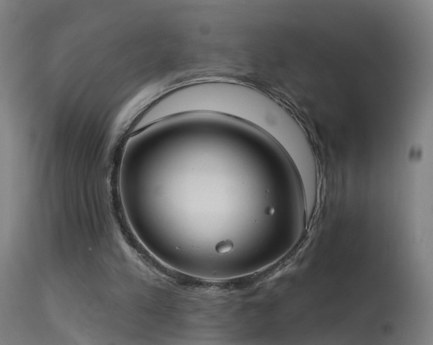 X0000114180197200910151709