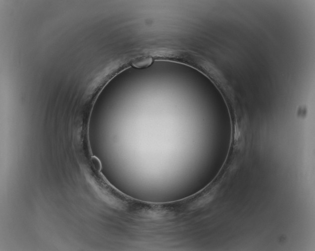 X0000114180201200910151709