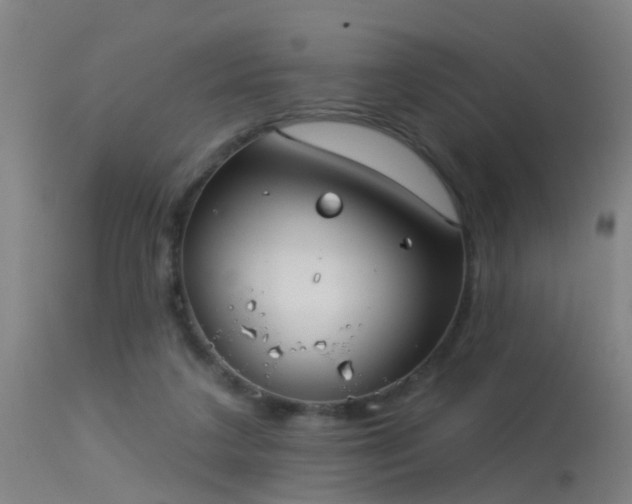 X0000114180211200910151709