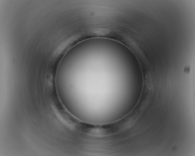 X0000114180212200910151709