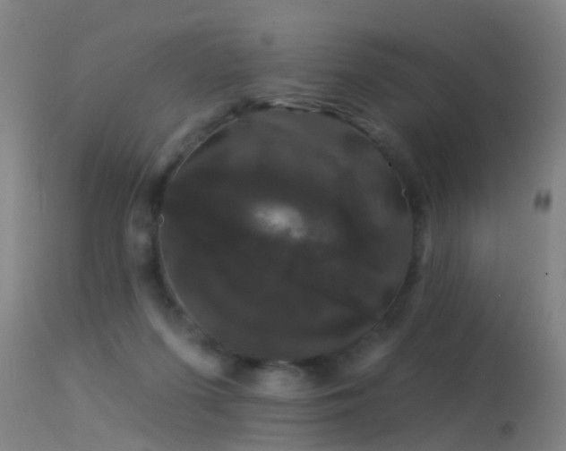 X0000114180215200910151708