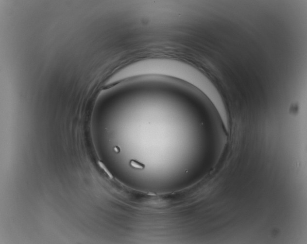 X0000114180217200910151708