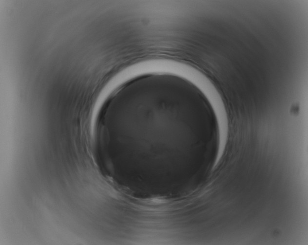 X0000114180219200910151708