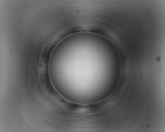 X0000114180220200910151708