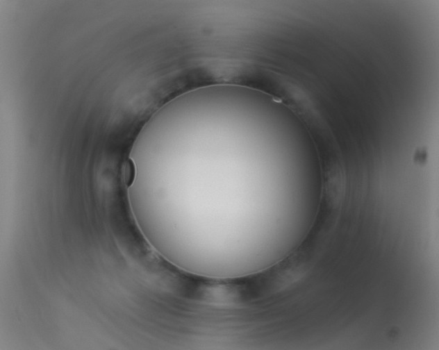 X0000114180221200910151708