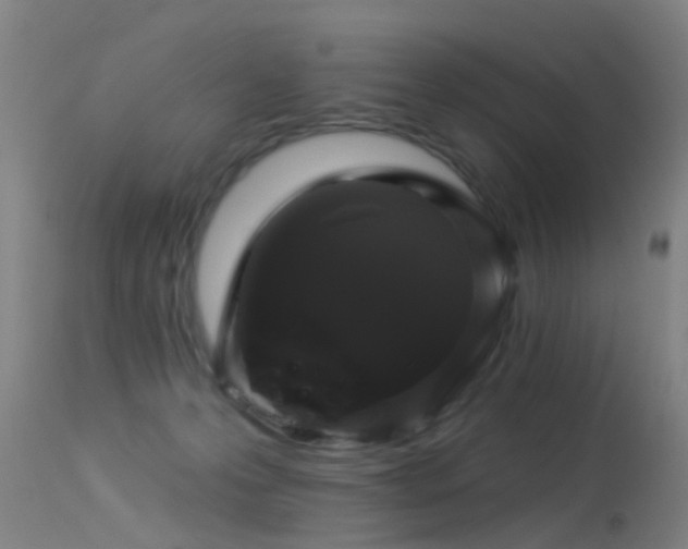 X0000114180223200910151708