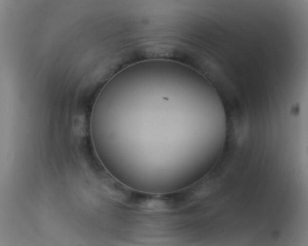 X0000114180224200910151708