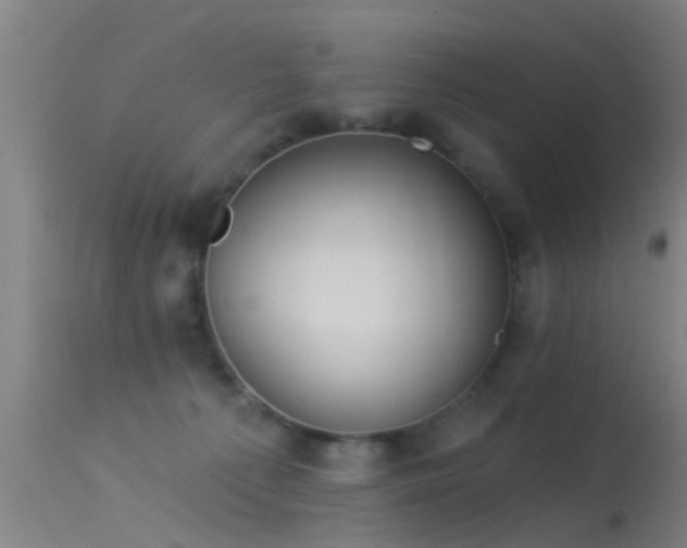 X0000114180225200910151708